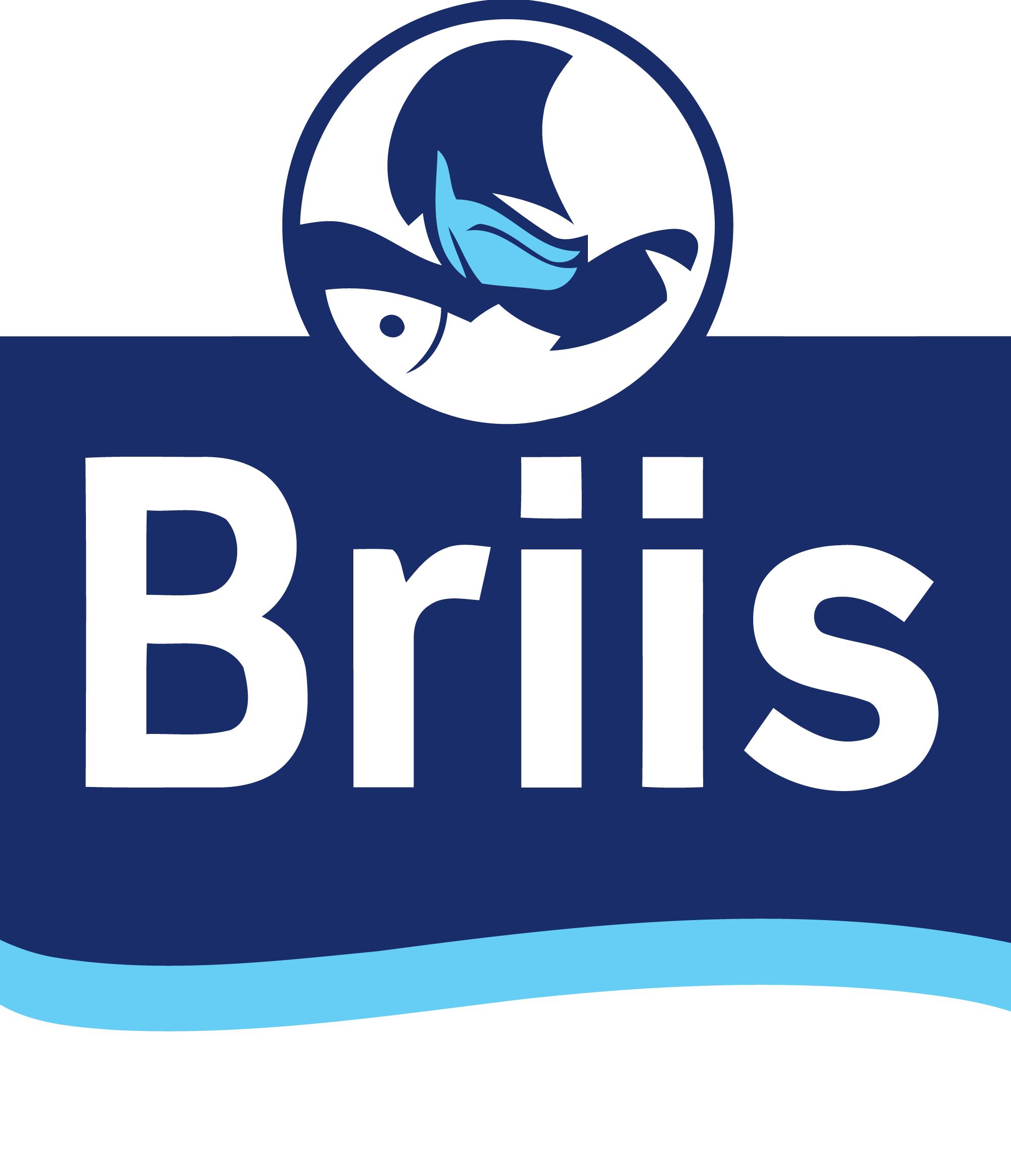 Briis - DMG Shipping